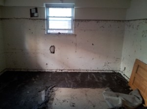 Water surge flooded most basements or even ground floors in Rockaway. The high-water line in this photo is at nearly six feet.