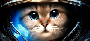catinspace